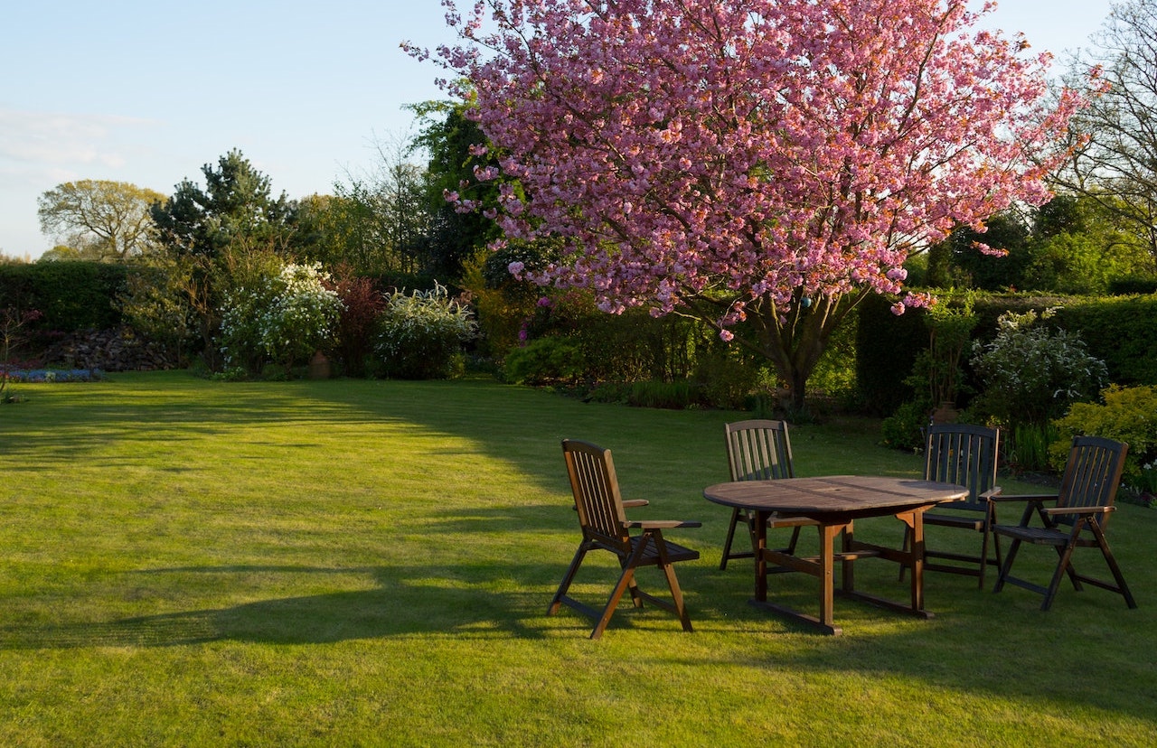 What Is A Garden Clearance?